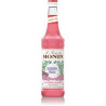 SIROP MONIN BUBBLE GUM 70 cl
