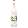 SIROP GINGEMBRE MONIN 70cl, Bouteille verre perdu