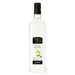 SPRITZ HUGO FLEUR DE SUREAU 1 Litre 15°, NEO WOLFBERGER