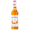 SIROP APPLE PIE tarte aux pommes MONIN 70cl