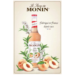 PLAQUE EMAILLEE BOMBÉE MONIN (28,5 - 18,5 cm)