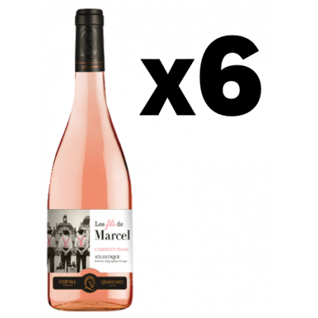 CARTON DE 6 BOUTEILLES DE VIN ROSÉ LES FILS DE MARCEL 75cl 12°, Maison Cheval Quancard