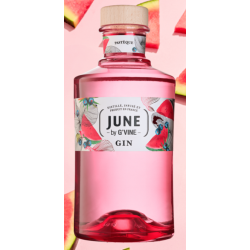 GIN JUNE PASTEQUE 70cl 37,5°