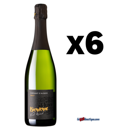 CREMANT BRUT BIENVENUE 6 x 75cl 12°, CAVE DU VIEIL ARMAND - AOC Crémant d'Alsace