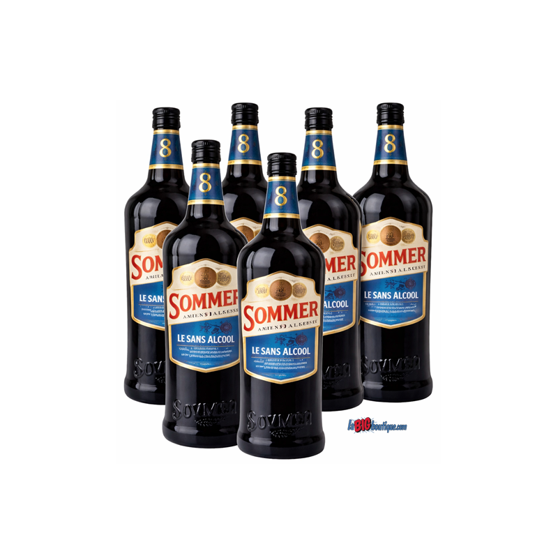 AMER BIERE SANS ALCOOL SOMMER 6 X 1 Litre 0°