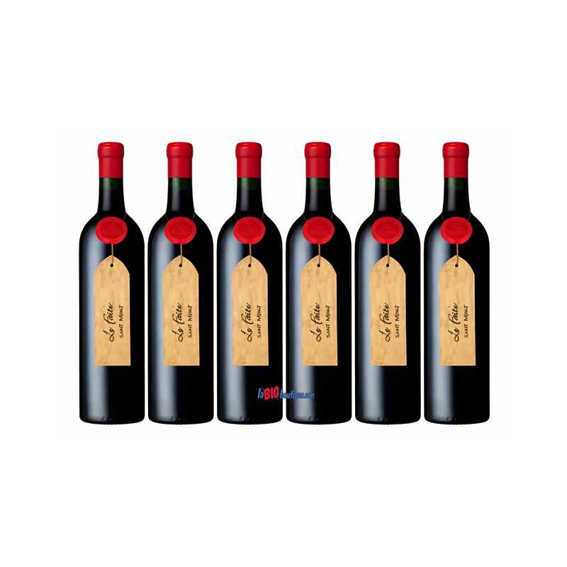 VIN ROUGE "LE FAITE" SAINT MONT 6 X 75cl 14° 2021, AOC, Cave de Plaimont