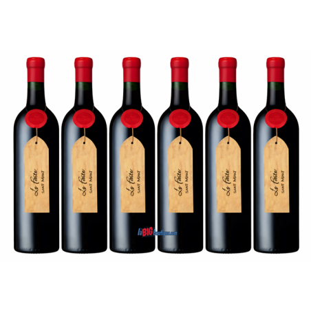 VIN ROUGE LE FAITE SAINT MONT 6 X 75cl 14,5° 2020, AOC, Cave de Plaimont