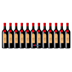 VIN ROUGE "LE FAITE" SAINT MONT 12 X 75cl 14° 2021, AOC, Cave de Plaimont