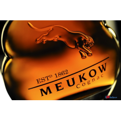 COGNAC MEUKOW ICONE 70cl 40°, AVEC ETUI