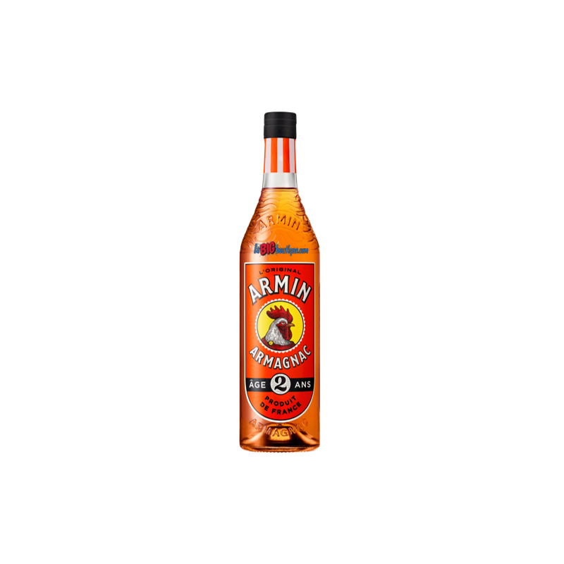 ARMAGNAC ARMIN 2 ANS D'AGES 70cl 40°