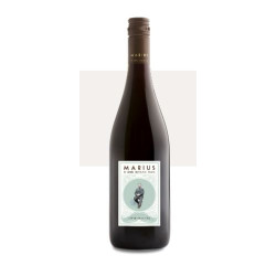 VIN ROUGE MARIUS CHAPOUTIER 12 X 75cl 13,5° 2024