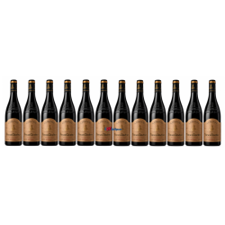VIN ROUGE CAIRANNE Secret de Terroir 12 x 75cl 15° 2022, ARNOUX & FILS, Vallée du Rhône, AOC