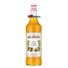 SIROP FRUIT DE LA PASSION MONIN 1 LITRE, Bouteille verre perdu