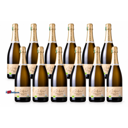 CREMANT BIO BRUT 12 X 75cl 11,5°, CAVE DU VIEIL ARMAND - AOC Crémant d'Alsace