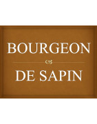 BOURGEON DE SAPIN