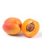 ABRICOT
