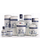 DIPLOMATICO PLANAS