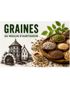 GRAINES