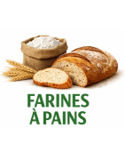 FARINES A PAINS