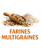 FARINES MULTIGRAINES A PAINS