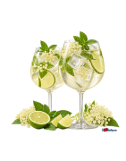 SPRITZ HUGO