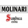 MOLINARI